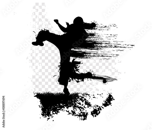 Φωτογραφία Martial art