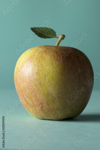 A single red cox apple on a grey background