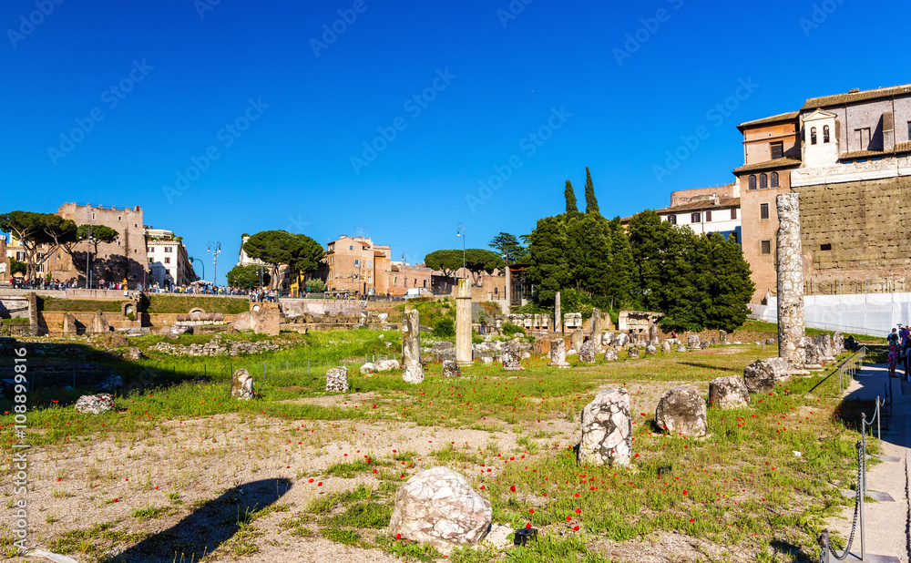 Remains of Nerva Forum in Rome
