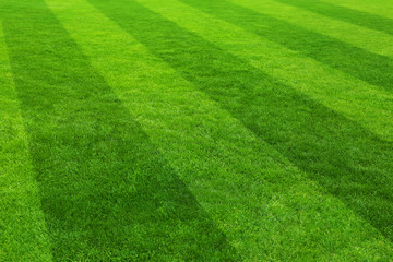 Football field stadium background