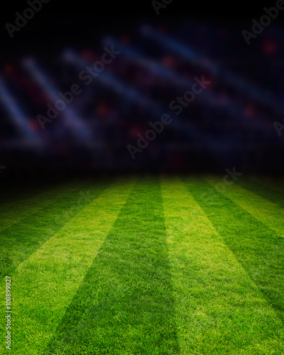 Football field with spotlights © Africa Studio