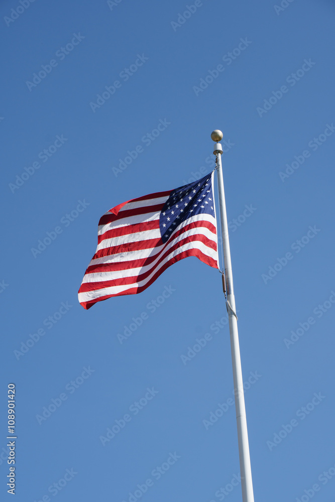 Fototapeta premium American Flag Flying