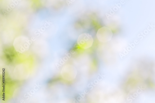 Abstract spring background from blurred blooming orchard