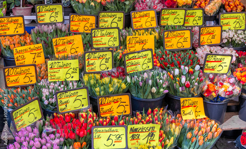 Tulips for sale