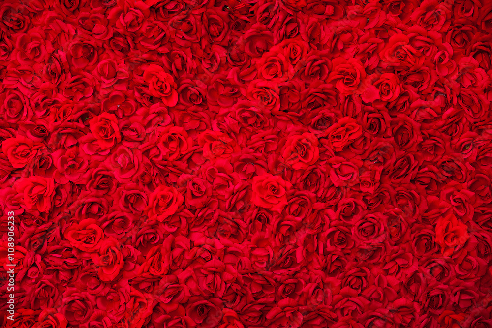 Naklejka premium Dywan z czerwonych róż, kwiaty w tle