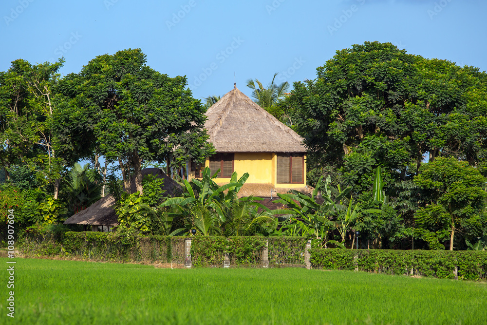 Beautiful house on rice fields in Ubud, Bali, Indonesia. Beautiful house on rice fields in Ubud, Bali, Indonesia.
