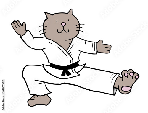 karate cat