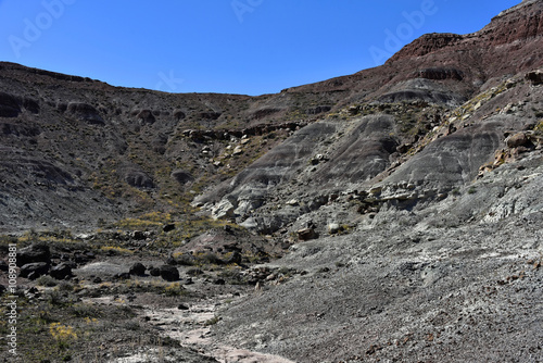 McInnis Canyons - Fruita Paleo Area photo