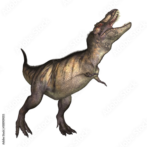 3D Illustration Tyrannosaurus on White