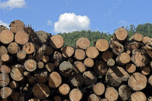 Logs stacked with cross view under blue sky