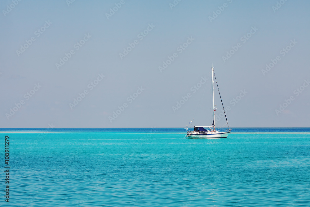 white speedboat yacht  in blue ocean