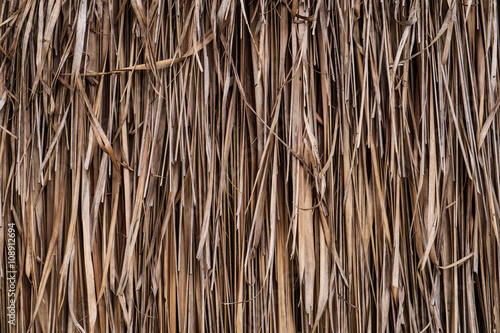 Old dry straw palm texture