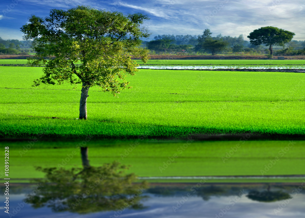 nature landscape nature landscape