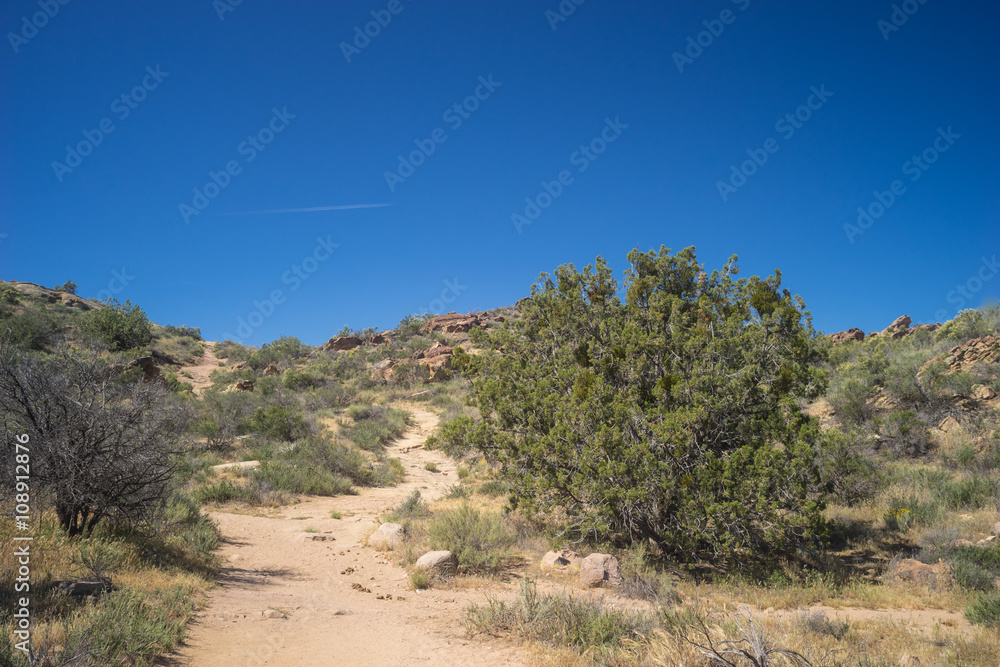 Trail through Mojave Hills Trail through Mojave Hills