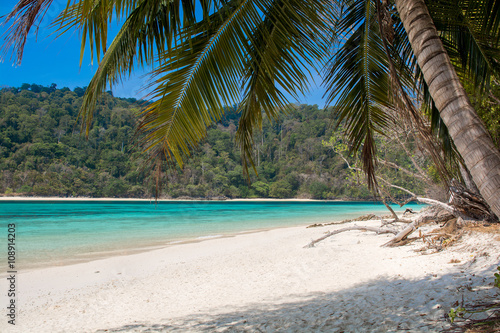 Fototapeta Naklejka Na Ścianę i Meble -  Clear sea, beach and coconut palm leaves in summer season