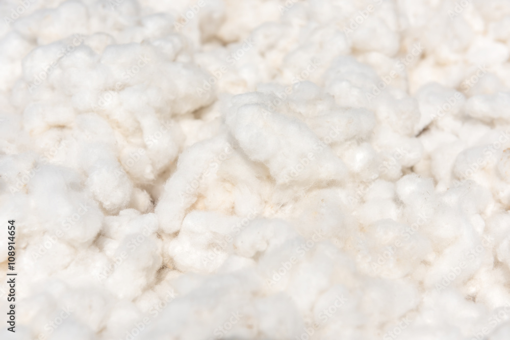 Cotton, cotton harvest from field Cotton, cotton harvest from field