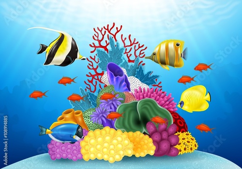 Photography Cartoon tropical fish with beautiful underwater world