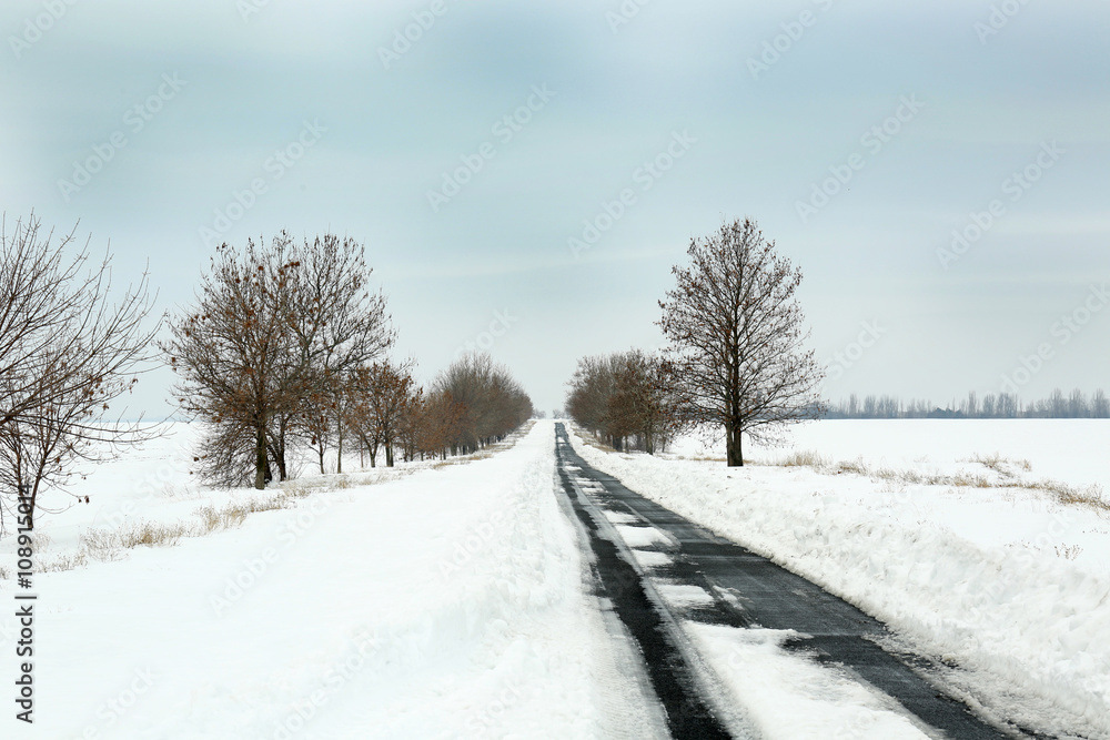 Fototapeta premium Landscape of snowy rustic road