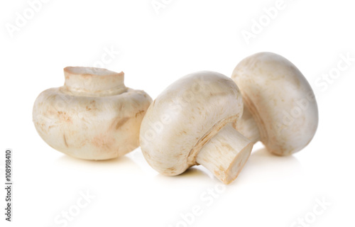 Champignon mushroom on white background