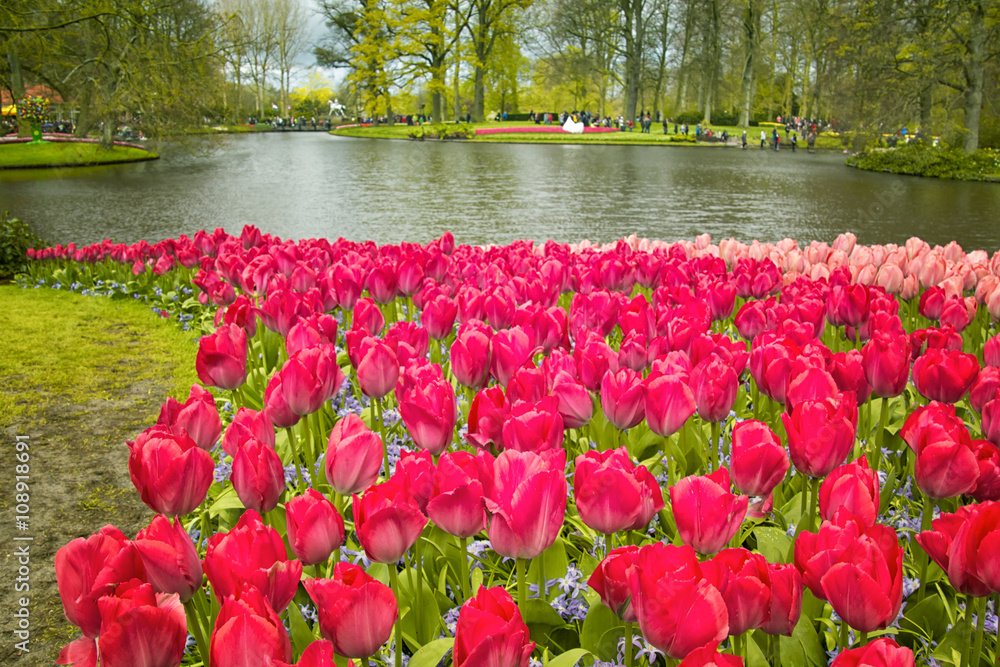 Keukenhof, the Netherlands