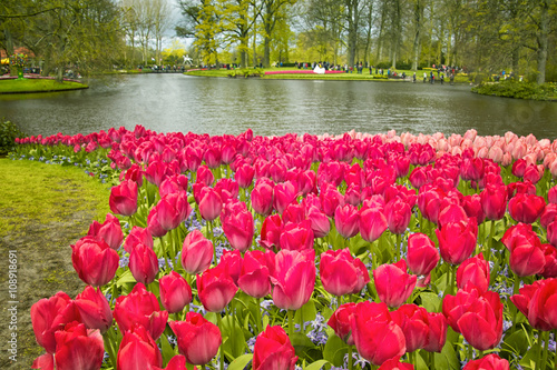 Keukenhof, the Netherlands