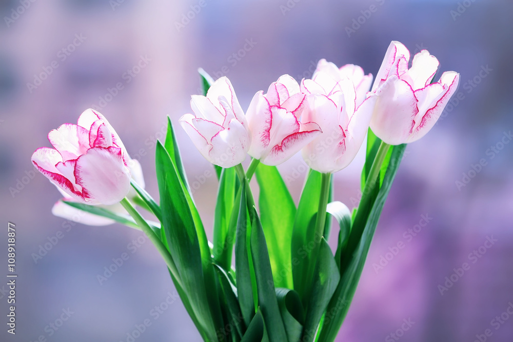 Fototapeta premium Bouquet of tulips on city blurred background