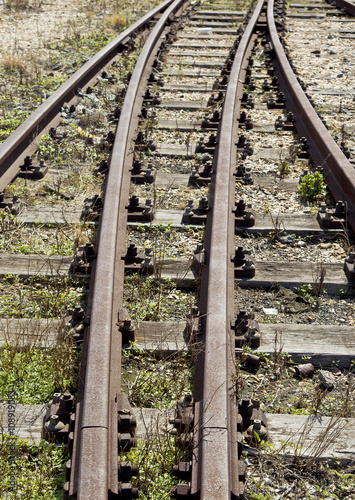 Rusted overgrown railway tracks
