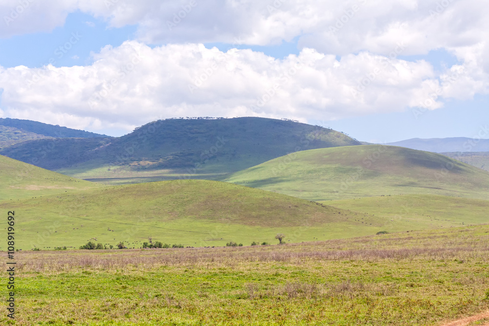 View on huge Ngorongoro caldera (extinct volcano crater) from within against blue sky background. Great Rift Valley, Tanzania, East Africa.
