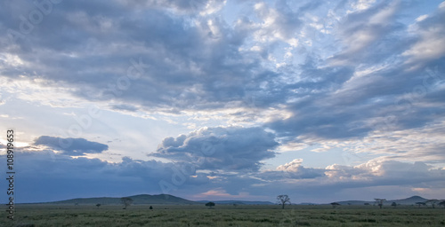 Savanna plain at dawn against storm cloud sky background. Serengeti National Park, Tanzania, Africa. 