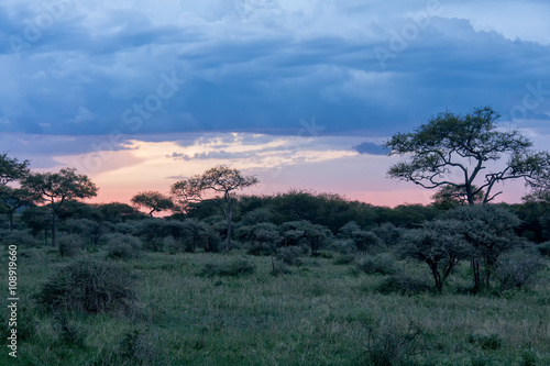 Savanna plain at dawn against storm cloud sky background. Serengeti National Park, Tanzania, Africa. 