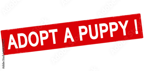 Adopt a puppy