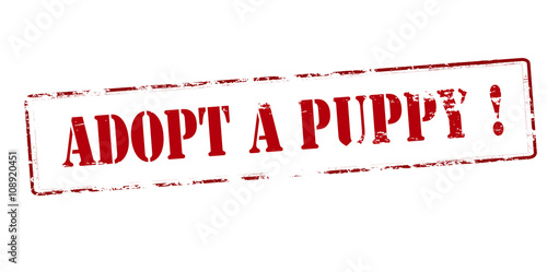 Adopt a puppy