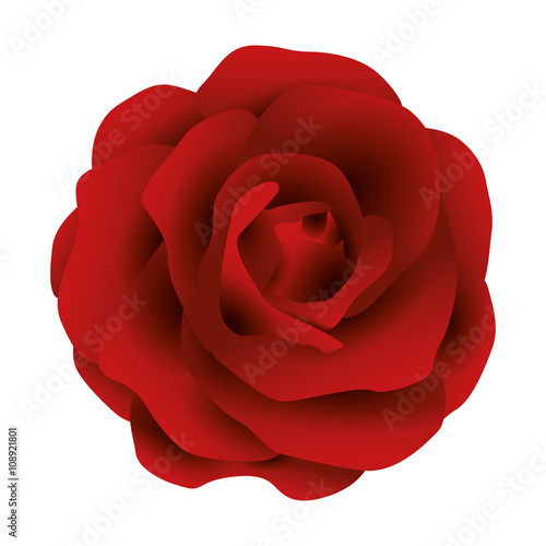 Illustration Vector Graphic Flower Rose