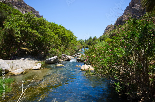 Palm forest Preveli on Crete island  Greece