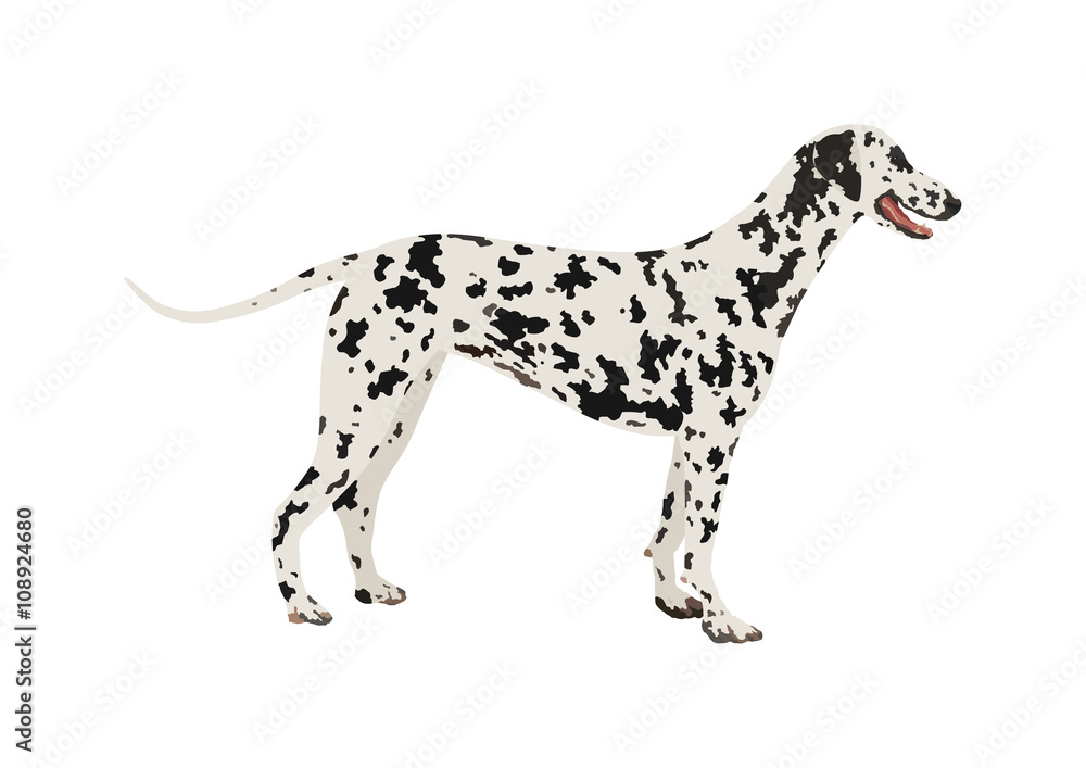 ダルメシアン Stock イラスト Adobe Stock ダルメシアン Stock イラスト Adobe Stock