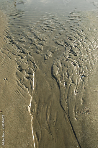 Image of tree formed by water stream on sandy beach at low tide.