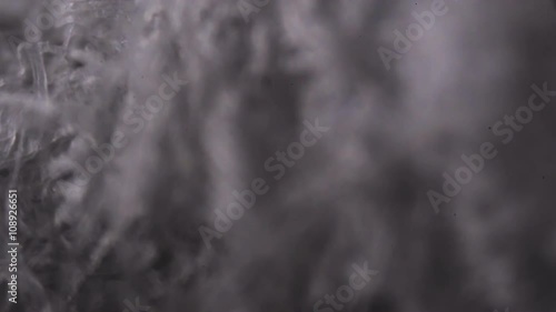 Tissue paper fibers under the microscope.
