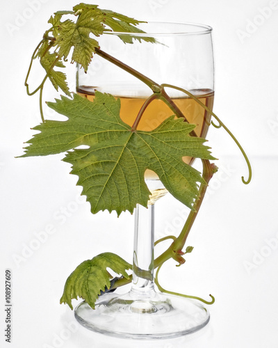 ein Glas Weisswein mit grunen Blaettern photo