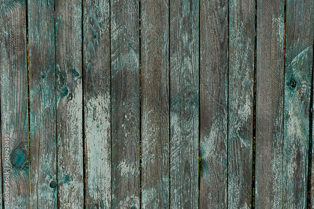 Turquoise old fence with peeling paint. Texture Turquoise old fence with peeling paint. Texture