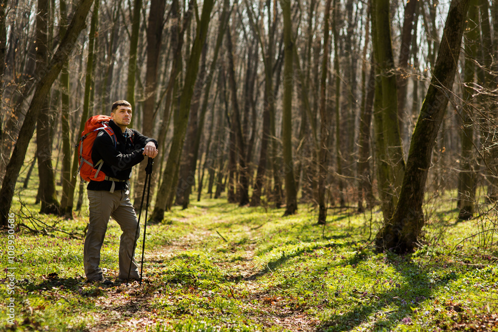 Male hiker looking to the side walking in forest Male hiker looking to the side walking in forest