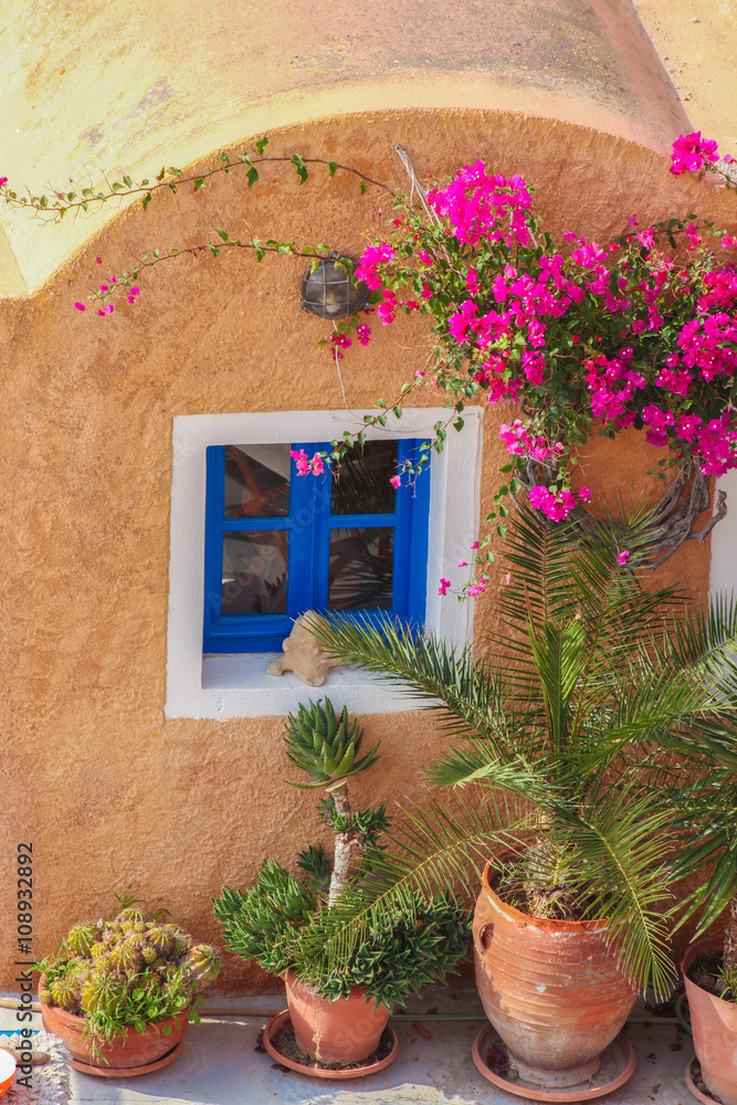 Traditional greek house with flowers in Oia village on Santorini island, Greece