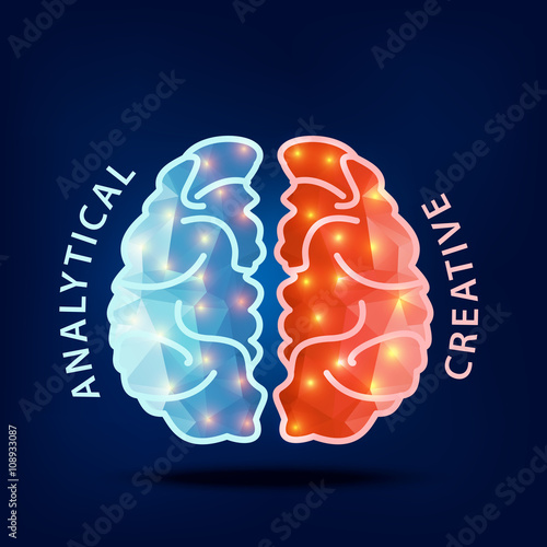 Creative brain Idea.Left and right hemisphere of human brain