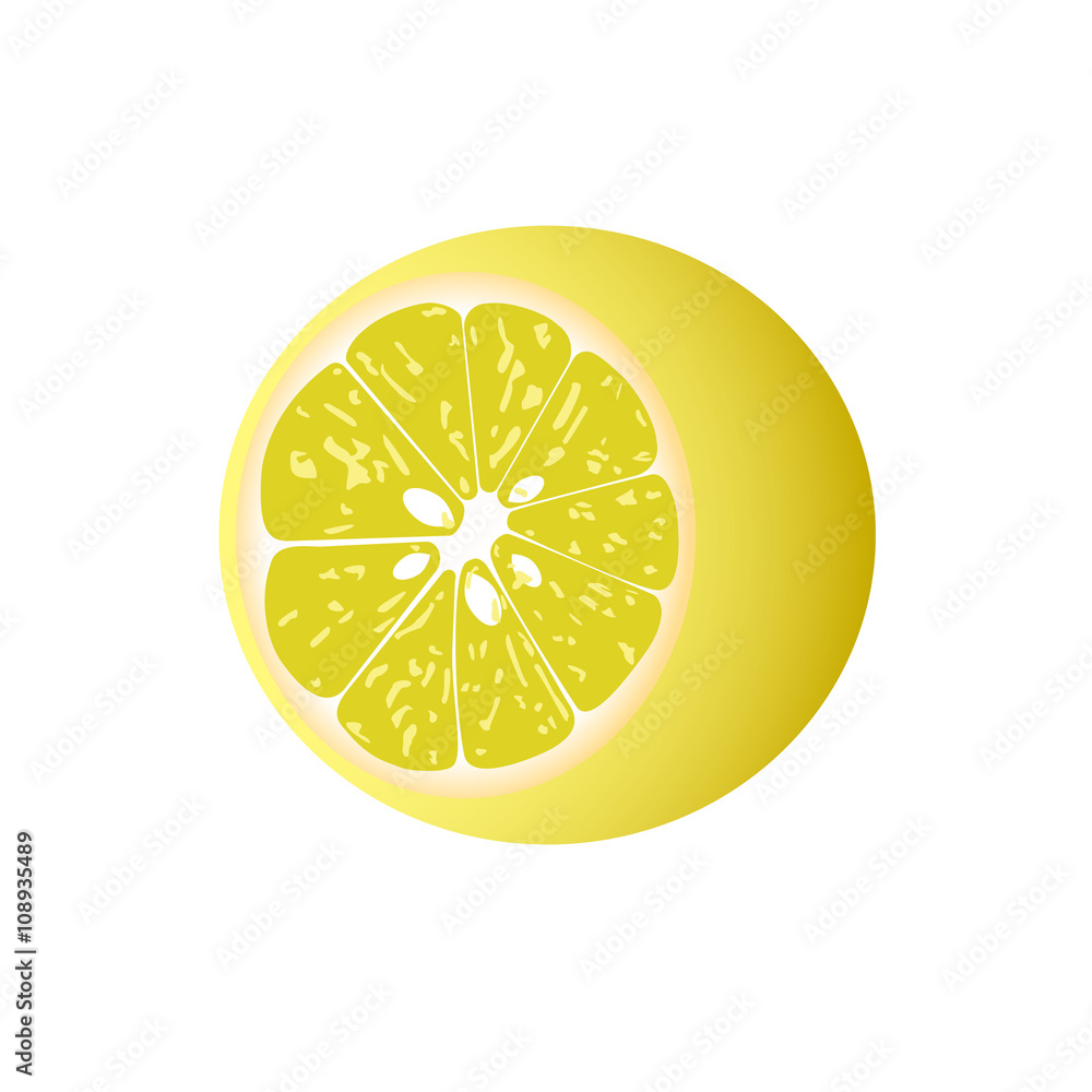 Lemon fruits vector illustration Lemon fruits vector illustration
