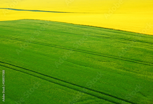 rape and grain fields from top view © Jitka Laníková