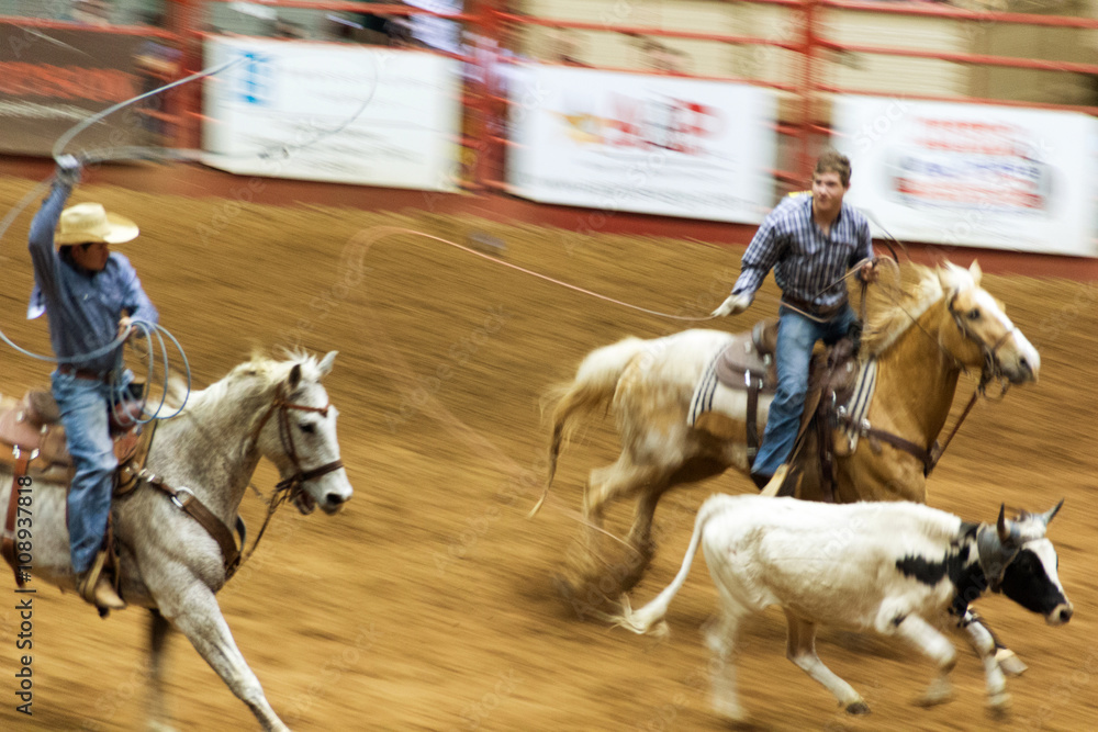 Fototapeta premium rodeo