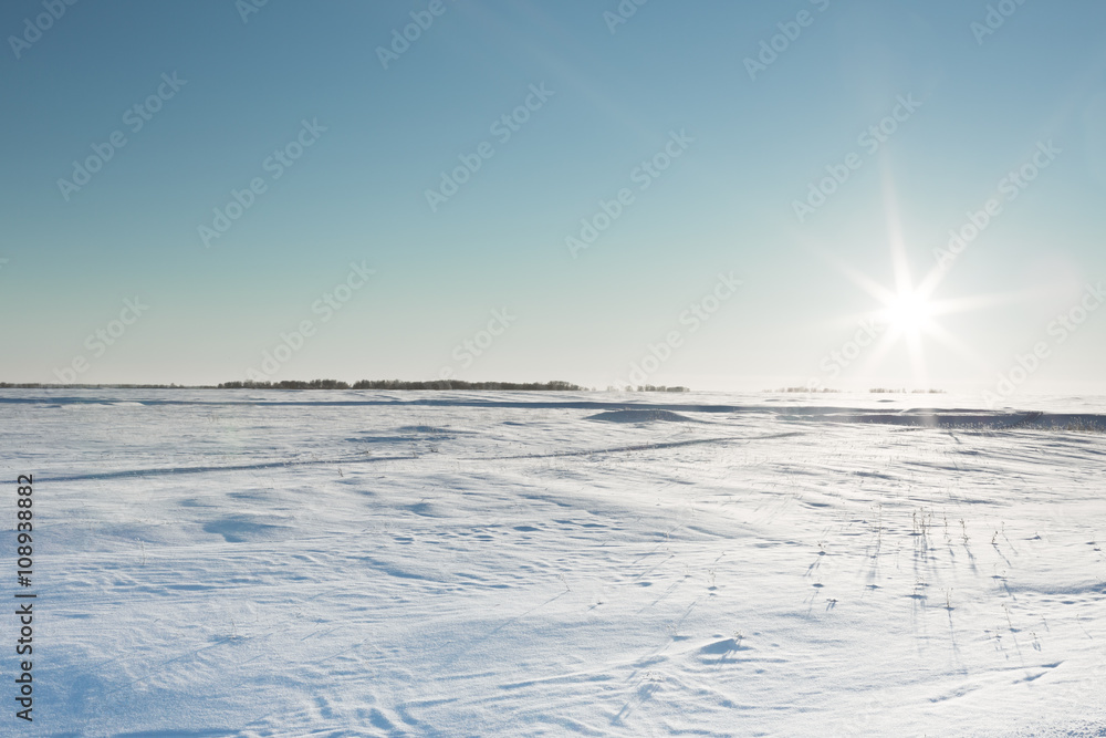 Fototapeta premium the desolate winter landscape and the sun's rays