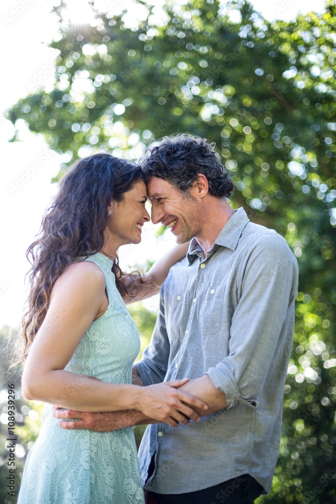 Fototapeta premium Couple hugging at park