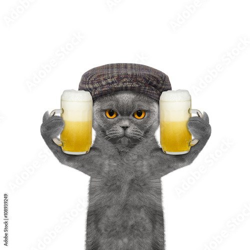 Fototapeta Naklejka Na Ścianę i Meble -  Cat drinks beer and greeting somebody