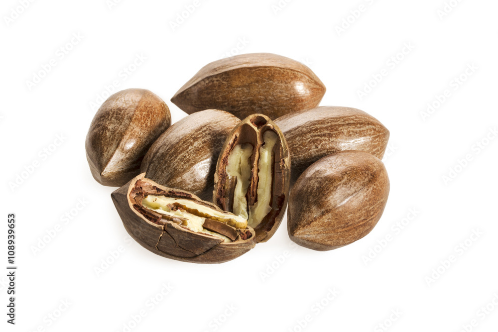 A pile of pecan nuts A pile of pecan nuts