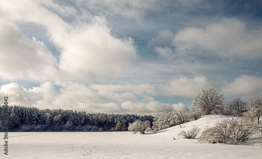 Fototapeta premium Landscape.frozen snowy lake, trees before the storm